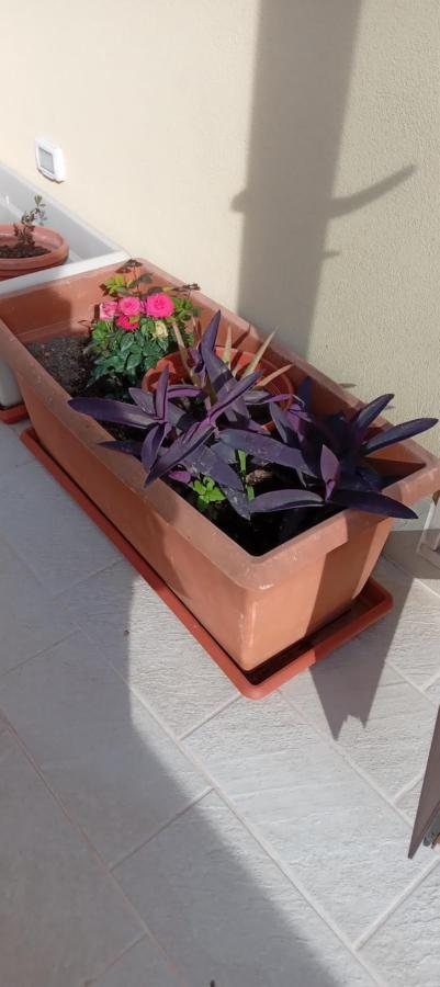 Romantica Brindisi Luaran gambar